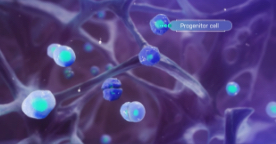 Video_Screen03