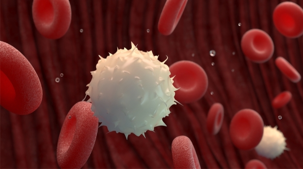 Exclusive: BeyondSpring’s Plinabulin Reduces Bone Pain in CIN Patients