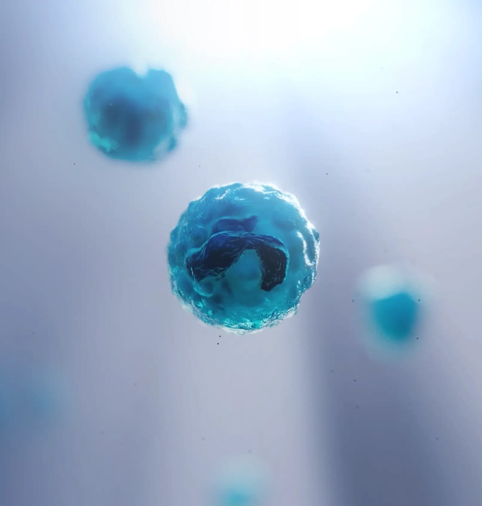 Transforming cancer care with immunotherapy